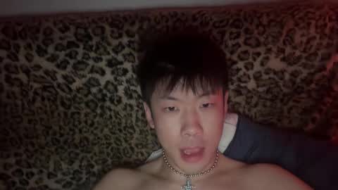 daggerpapi online show from 05/03/26, 09:26
