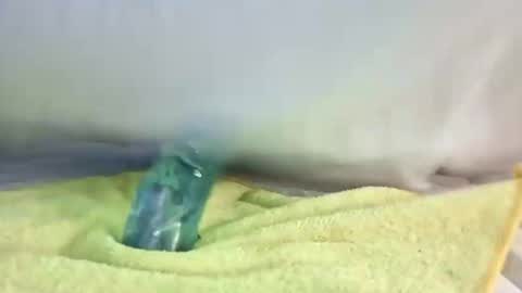 daileyrobert15 online show from 05/02/26, 07:41