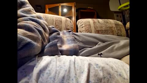 Snapshot of dailyjerker84 chatting on 03/01/25, 06:13 DailyJerker84 online show from 03/01/25, 06:13