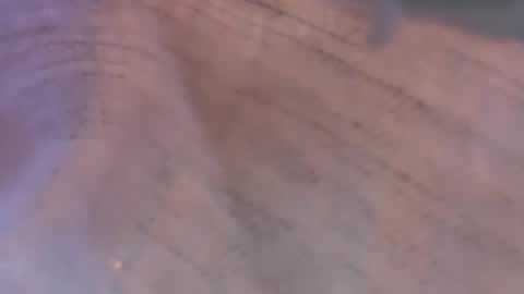 Daisy137 online show from 03/08/26, 06:44