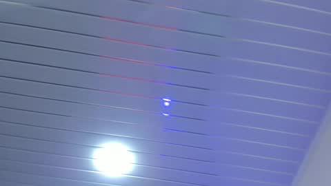 Daisy online show from 11/03/25, 01:12