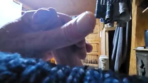 dave online show from 10/24/25, 08:49