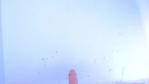 Snapshot of dakkotta_curvy chatting on 10/10/25, 07:51 VALENTINA  online show from 10/10/25, 07:51