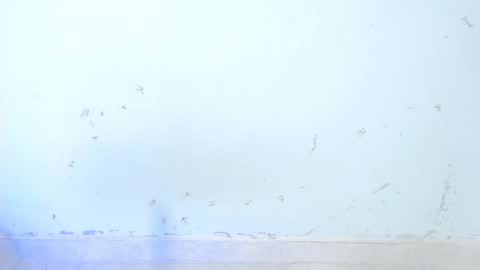 Snapshot of dakkotta_curvy chatting on 10/16/25, 08:48 VALENTINA  online show from 10/16/25, 08:48