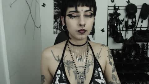 dakota online show from 11/12/25, 02:12