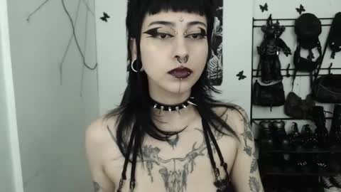 dakota online show from 11/25/25, 02:44