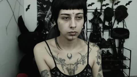 dakota online show from 05/04/26, 03:02