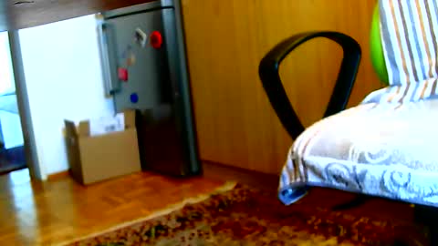 Dammerl online show from 02/03/25, 07:40