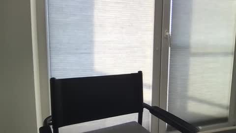 Snapshot of dan295899 chatting on 03/23/26, 07:56 dan295899 online show from 03/23/26, 07:56