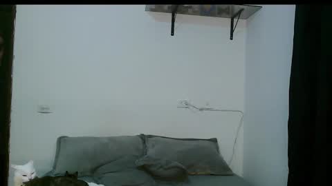 Dan and Noah online show from 03/05/25, 12:27