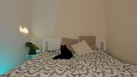 Dana online show from 12/01/25, 10:15