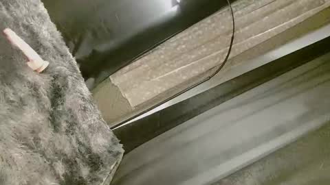 Nica online show from 09/10/25, 08:25