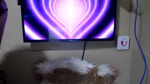 Snapshot of danica_wild chatting on 05/15/26, 11:12 Danica online show from 05/15/26, 11:12