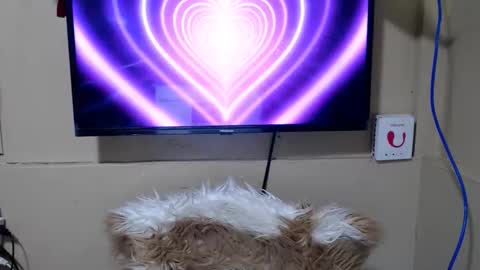 Snapshot of danica_wild chatting on 05/15/26, 11:23 Danica online show from 05/15/26, 11:23