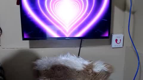 Snapshot of danica_wild chatting on 05/15/26, 11:45 Danica online show from 05/15/26, 11:45