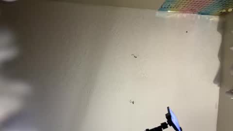 Snapshot of danidragon69 chatting on 02/08/25, 10:50 Dani Dragon online show from 02/08/25, 10:50