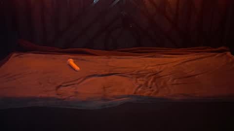 danielareign online show from 12/20/25, 07:26