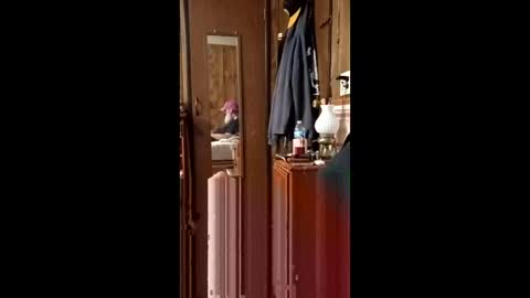 danielgilligan586677889 online show from 04/19/26, 02:55