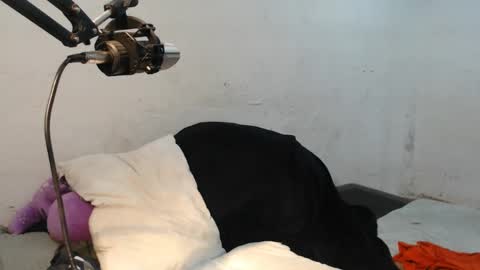 Snapshot of danielitopapii chatting on 12/13/24, 06:49 danielitopapii online show from 12/13/24, 06:49