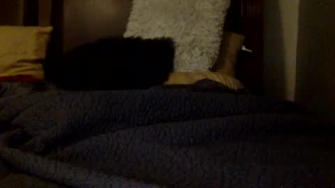 daniellbisous online show from 07/01/26, 05:31