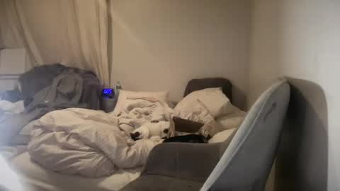 daniellealexa online show from 06/27/26, 09:58