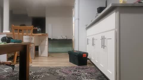 danimal5000 online show from 11/18/25, 04:00