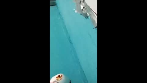 Snapshot of danipas_30 chatting on 02/12/26, 05:57 danipas_30 online show from 02/12/26, 05:57