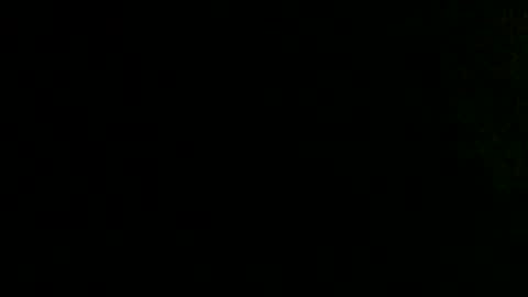 Snapshot of dankshepp chatting on 10/02/25, 10:00 dandeb online show from 10/02/25, 10:00