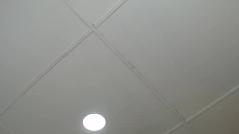 dannaberlin_0 online show from 03/08/25, 12:09