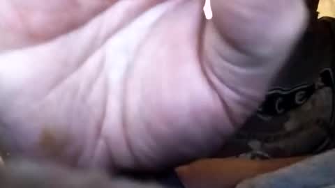 dannowisc online show from 02/01/26, 12:37