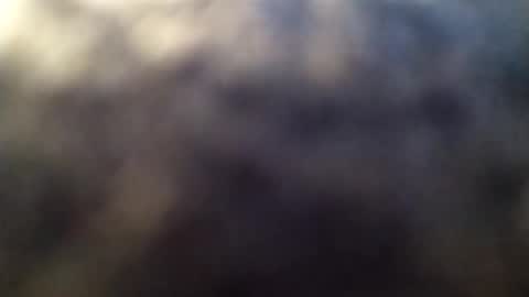 dannowisc online show from 03/01/26, 02:02