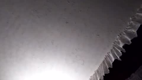 dannowisc online show from 04/07/26, 02:45