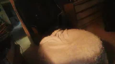 Danielle online show from 04/16/26, 11:29