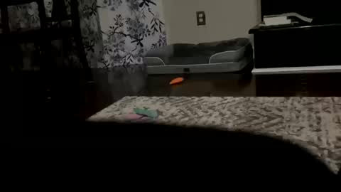 Snapshot of dannyboy621 chatting on 10/20/25, 09:43 dannyboy621 online show from 10/20/25, 09:43