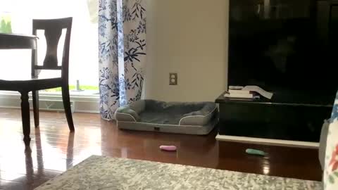 Snapshot of dannyboy621 chatting on 10/25/25, 01:18 dannyboy621 online show from 10/25/25, 01:18