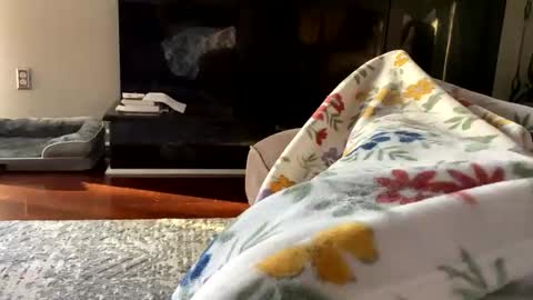 Snapshot of dannyboy621 chatting on 10/26/25, 01:17 dannyboy621 online show from 10/26/25, 01:17