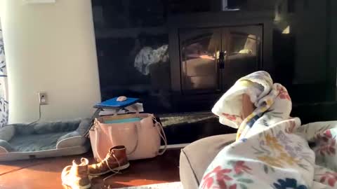 Snapshot of dannyboy621 chatting on 11/02/25, 01:24 dannyboy621 online show from 11/02/25, 01:24