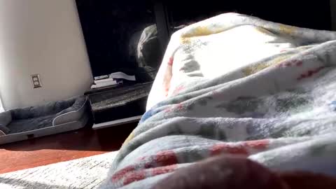 Snapshot of dannyboy621 chatting on 11/06/25, 01:56 dannyboy621 online show from 11/06/25, 01:56