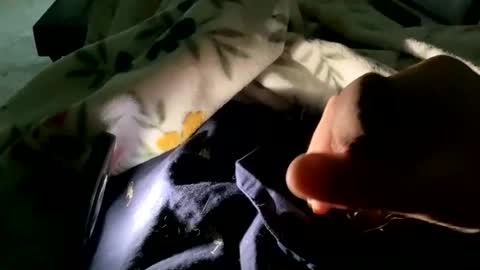 Snapshot of dannyboy621 chatting on 11/09/25, 01:53 dannyboy621 online show from 11/09/25, 01:53