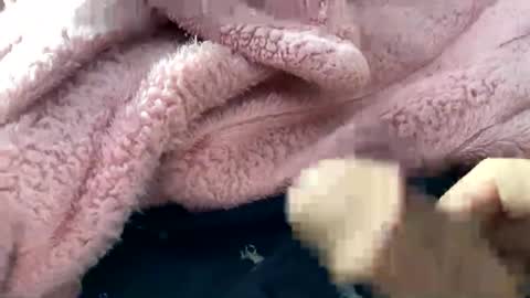 Snapshot of dannyboy621 chatting on 11/10/25, 02:16 dannyboy621 online show from 11/10/25, 02:16