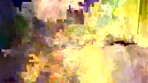 dano9696 online show from 12/05/25, 06:22