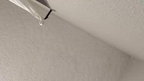 dano9696 online show from 02/23/26, 07:28