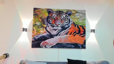 DANTE online show from 12/28/24, 03:15