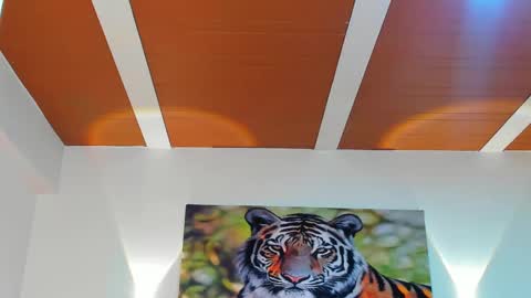 DANTE online show from 03/06/25, 02:51