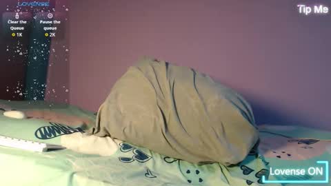 dante_bear online show from 11/27/25, 02:24