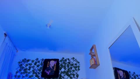 dante_cooper_0 online show from 12/12/24, 08:14