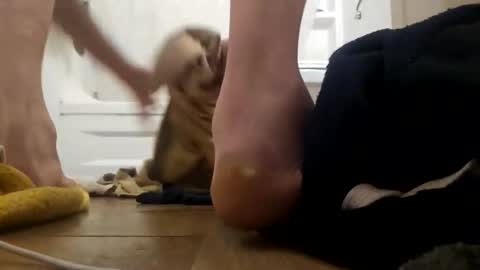 Snapshot of danydevil chatting on 11/25/25, 04:56 danydevil online show from 11/25/25, 04:56