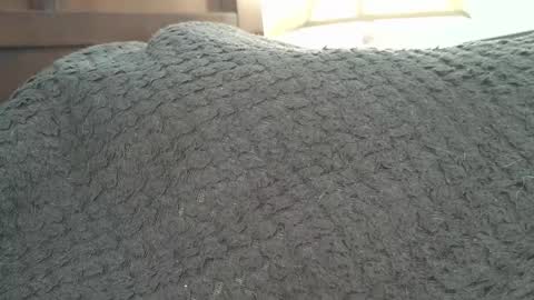 Snapshot of dapppper chatting on 09/24/25, 02:20 dapppper online show from 09/24/25, 02:20