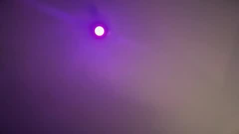 Snapshot of daquim chatting on 11/12/25, 11:14 daquim online show from 11/12/25, 11:14