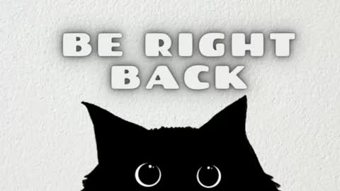 darienlarge online show from 01/10/26, 09:33